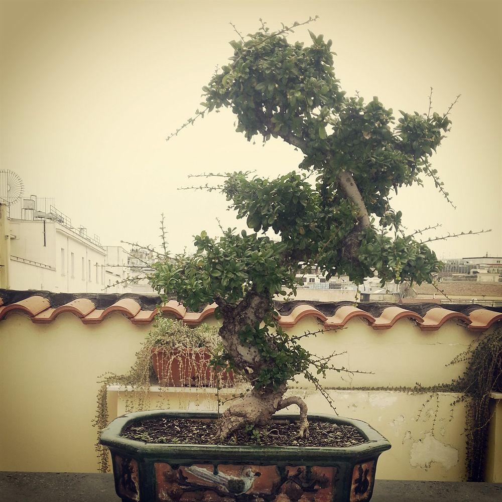 Attico Partenopeo Bed & Breakfast 4*